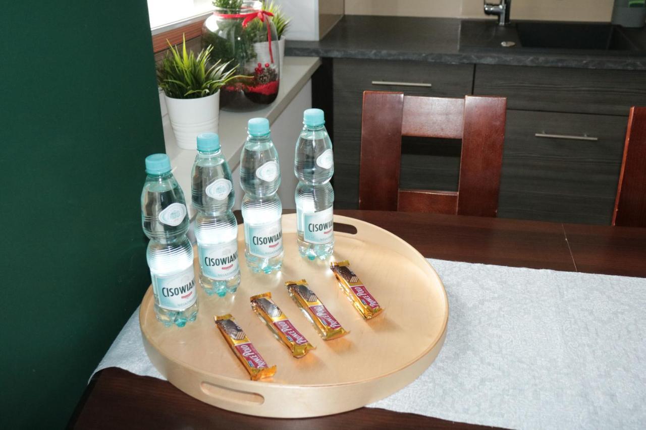 Dmk Green Apartment Near Warsaw-Modlin Airport Nowy Dwór Mazowiecki 외부 사진
